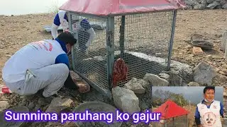 सुम्निमा पारुहाङ्को सिलान्यस पछि - गजुर को छानो राख्यो @harkasampang @Harkarajrai56 
