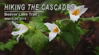 Hiking the Cascades - The Beaver Lake Trail
