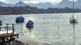 Lucerne November '15 - Flora Thomas