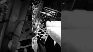 One Dfam and a patch cable #darkelectronic #glitch #synthesizer #moog #dfam #eurorack #duvfx #synth