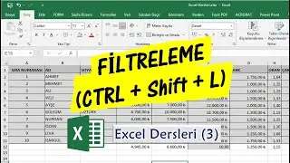 Excel Dersleri (3) Filtreleme (CTRL+Shift+L)