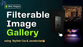 Filterable Image Gallery using HTML, CSS & JavaScript🔥