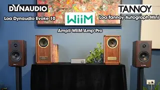 Ampli Hiệu Suất Cao WiiM Amp Pro Thử Sức Với Cặp Loa Tannoy Autograph Mini Và  Dynaudio Evoke 10