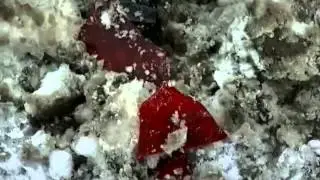Новости. Вечер - Интер - 08.02.2014