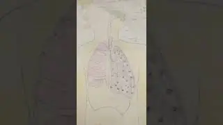 Biology important figure 
