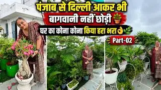 पंजाब से दिल्ली आकर भी बागवानी नहीं छोड़ी 🪴 घर का कोना कोना किया हरा भरा 👌🍃 Part-02