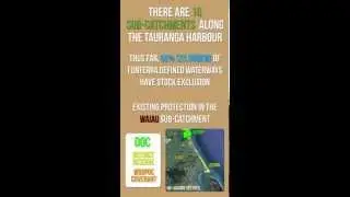 Waiau Sub-Catchment Infographic Project