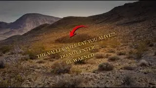 The Mystery That Took 13 Years to Uncover
