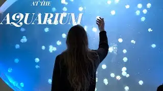 A Quiet Day at the Aquarium 🐠 |Slow Living Moments in Austria (Haus des Meeres)