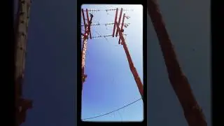 Power Lines static - Essentia Mundi