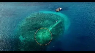 Beyond The Marine Park : A Ranger's Story