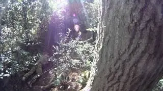 Ravens Airsoft 2nd September 2012 Ditch Assault 2 Failing at life