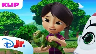 Nyt k&aelig;ledyr | Redningsvenner | Disney Junior Danmark