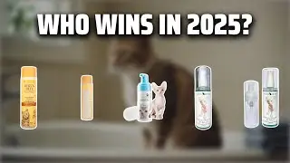 The Top 5 Best Sphynx Shampoo in 2025 - Must Watch Before Buying!