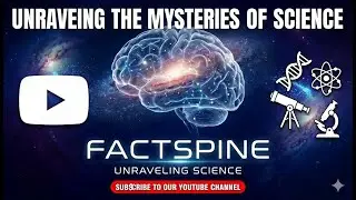 The Unknown Reality
