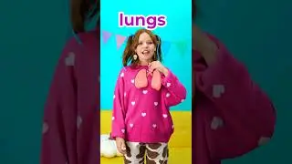 Lets learn the respiratory system!