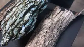 Tree bark