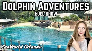 Dolphin Adventures Full Show | SeaWorld Orlando Bottleneck Dolphin Show