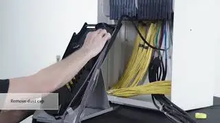 Routing EDGE&trade; Rapid Connect Trunks in the Enclosure