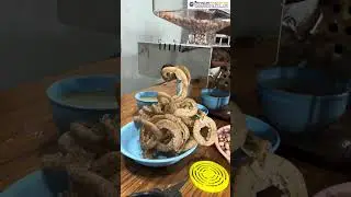 🤩✨Automatic Oil Pressing Machine | Oil extraction machine #shortsfeed #shorts #oilextractionmachine