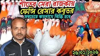 শীতের সেরা রাজকীয় আকর্ষণীয় কবুতর সবচেয়ে কমদামে দেশি বিদেশি ফেন্সি রেসার কবুতর বিক্রি হবে কবুতর