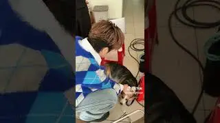 bữa giờ m&aacute;y n&oacute;ng lười đăng video-) #captainboy#hdd#hoangducduy#shorts