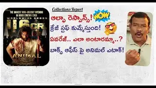Animal Alpha Response Report | Blasting First Day 1 Collections | Ranbir Kapoor | Sandeep ReddyVanga