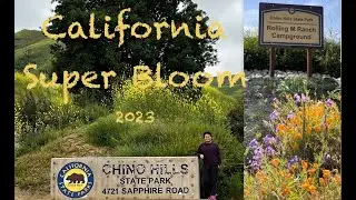 California super bloom experience. Car Camping at Chino Hills State Park
