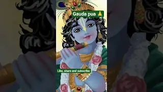 #se gauda pua 🙏🪔#indian#Dibyabrahma creation channel#