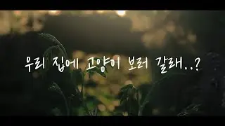 ASMR 💚 썸녀와 알콩달콩 새벽 데이트 | 목소리 예쁜 여자친구ASMR