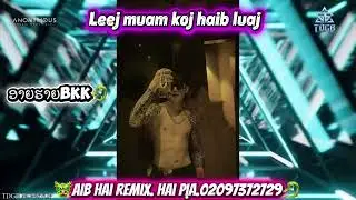 Leej muam koj haib luaj remix 🐢🐢[Aib hai remix]