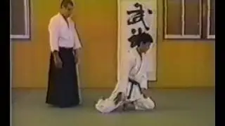 Aikido shikko kaiten