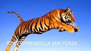 CICLO PNL AUTOLIBERAZIONE: - IO DICO NO-