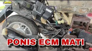Scoopy esp mogok hilang pengapian urutan pengecekan