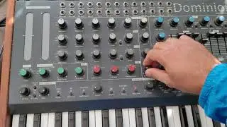 (No talking):MFB Dominion1 is the best Paraphonic synth in the last 2 decades
