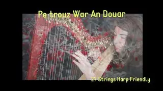 Pe trouz War An Douar - D&eacute;butant & 27 Cordes | Apprendre La Harpe Celtique