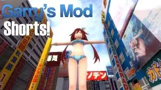 Fisting Tokyo  | Screwing Around with SIRROM12! [Part 4] Garry's Mod Shorts!