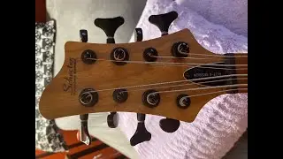 Schecter Riot Eight Bass Demo: So you've always wanted an eight-string bass, was it really worth it?
