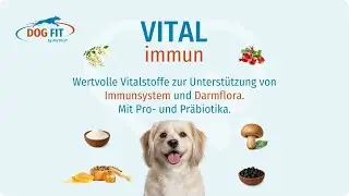 DOG FIT by PreThis&reg; VITAL immun f&uuml;r Hunde &raquo; Immunsystem & Darmflora