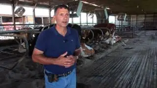 Dry Cow Barn