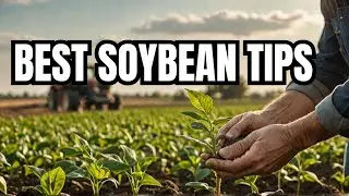 Top 10 Techniques for Planting Soybeans
