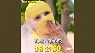DILLA SINGER SR 2790