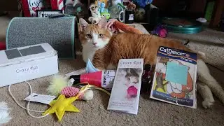 Crazy Cat Crate Unboxing & Review | May 2020