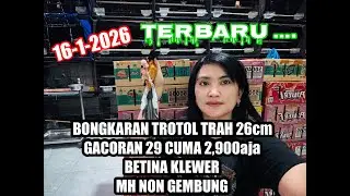 BONGKARAN MURAI BATU TERNAKAN RING 15-1-2026