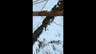 My Nature Art & Animal Adventures #35