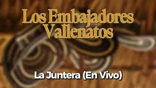 Los Embajadores Vallenatos, Robinsón Damián & Jairo de la Ossa – La Juntera (En Vivo) 🎶