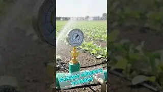 Checking Water Pressure the Right Way #boltigen#howto #shorts