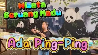 Wisata Beruang Madu Ternyata Ada Ping-Ping Juga!!! 