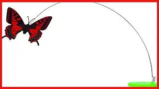 Pet Zone Fly By Spinner Cat Toy
