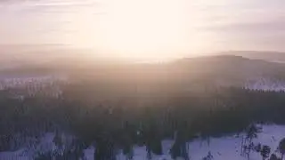 Footage Video Drone Shot Of Forest [No Copyright Video]